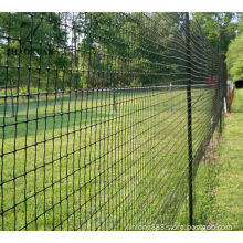Good Quality Holland Wire PVC Coated Euro Fence